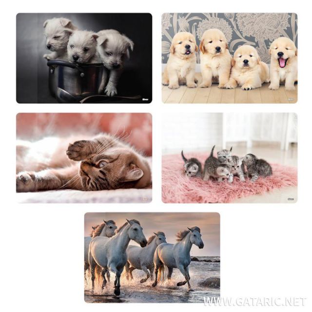 ΣΟΥΜΕΝ 60Χ40CM ANIMALS 5 ΣΧΕΔΙΑ